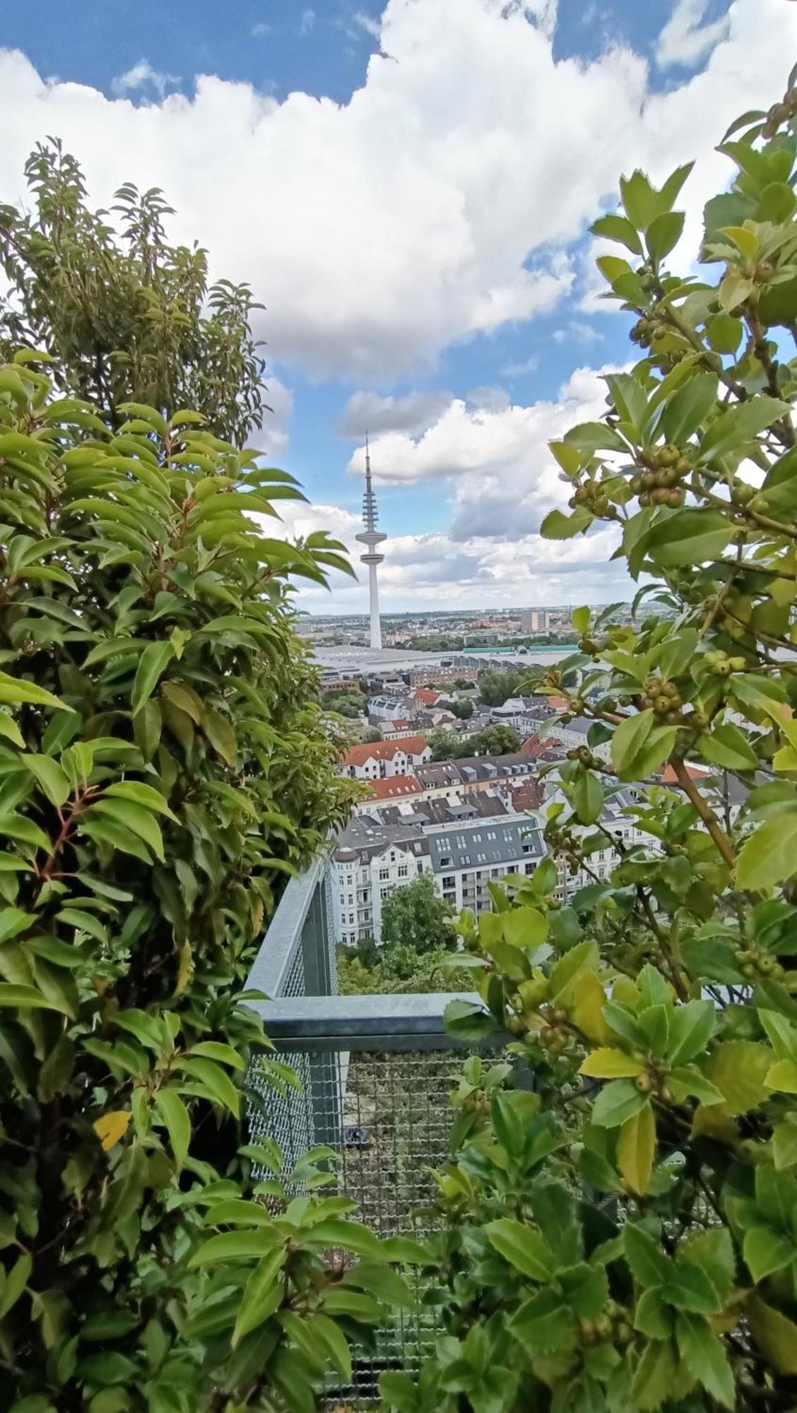 Accommodatie bij particulieren Stilvolles Ambiente Im Gruenen Hamburg!